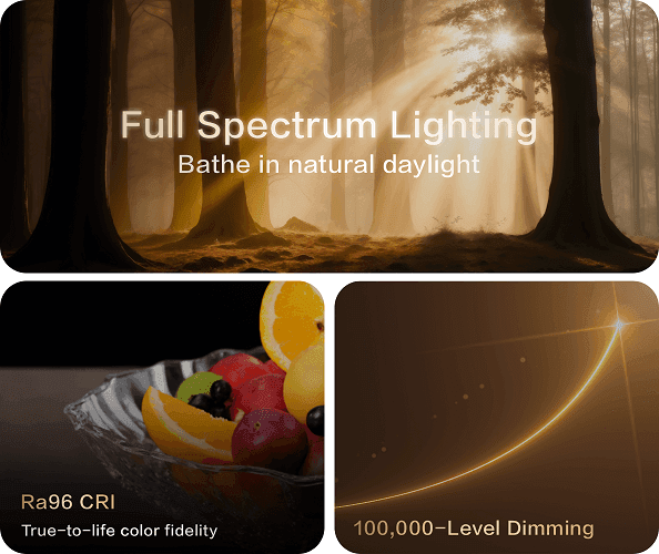 spotlight t2 pro — Hình chính