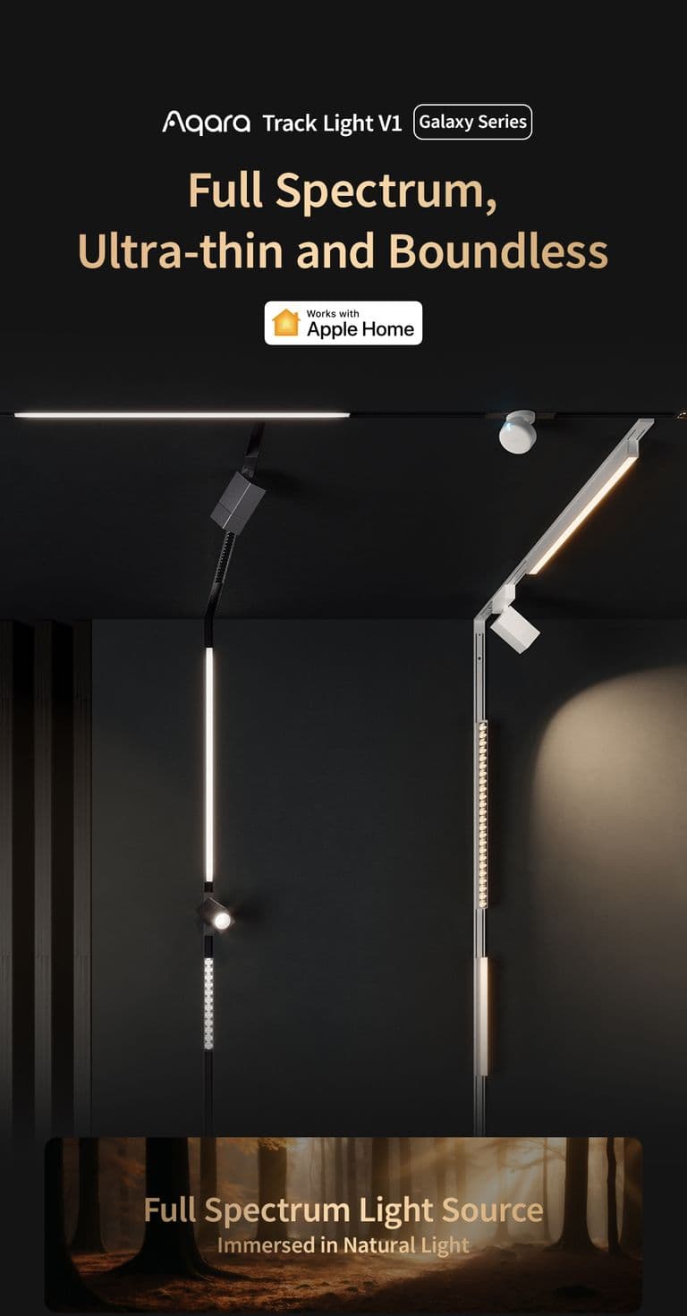 track floodlight v1 — Hình chính