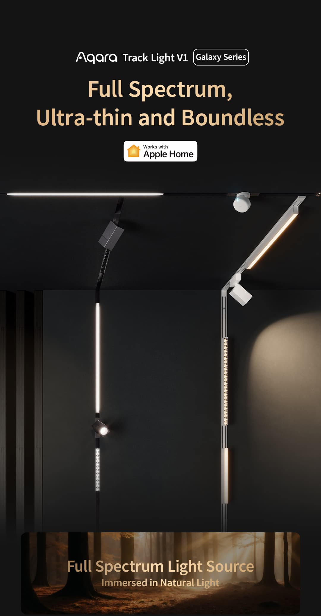 track grille light v1 — Hình chính